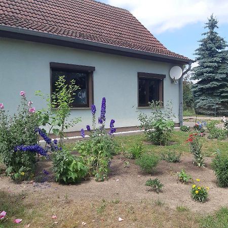 Ferienwohnung Am Scheunenkaffee Kachlin Dargen Ngoại thất bức ảnh
